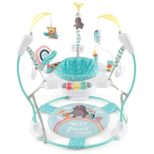 Baby Bouncer Activity Learning Center